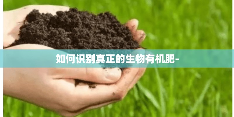 适合在室内养的大型绿植有哪些-