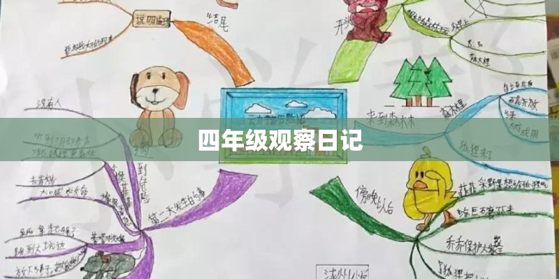 四年级观察日记