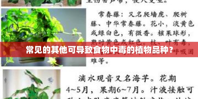 常见的其他可导致食物中毒的植物品种？