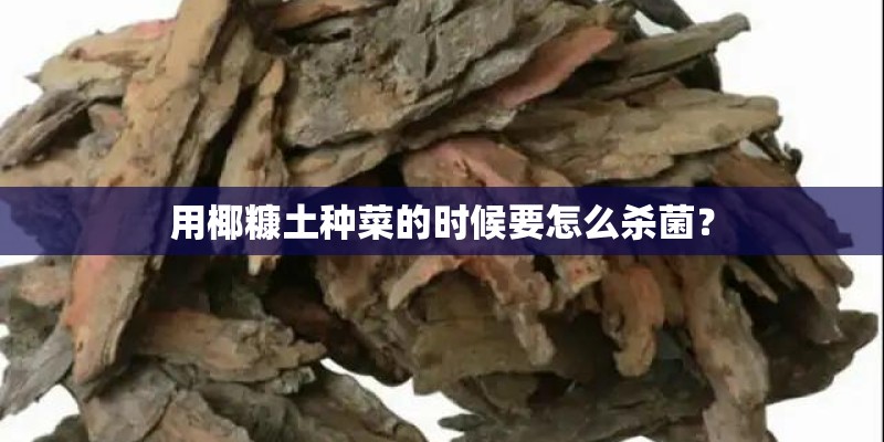 用椰糠土种菜的时候要怎么杀菌？