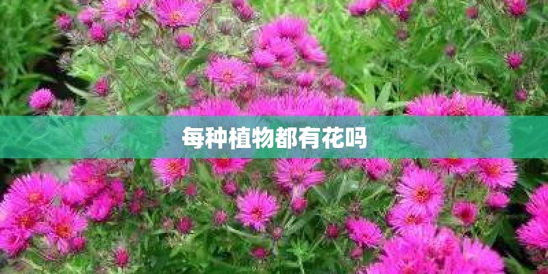 每种植物都有花吗
