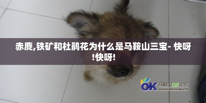 赤麂,铁矿和杜鹃花为什么是马鞍山三宝- 快呀!快呀! 赤麂,铁矿和杜鹃花为什么是马鞍山三宝- 快呀!快呀!