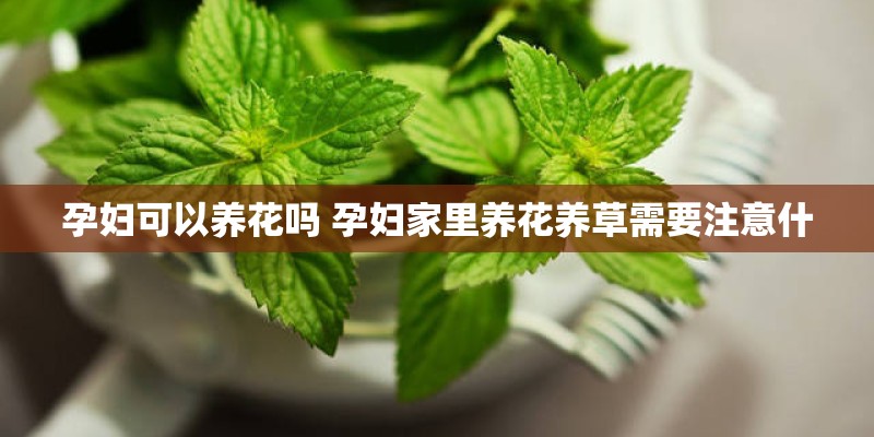 孕妇可以养花吗 孕妇家里养花养草需要注意什