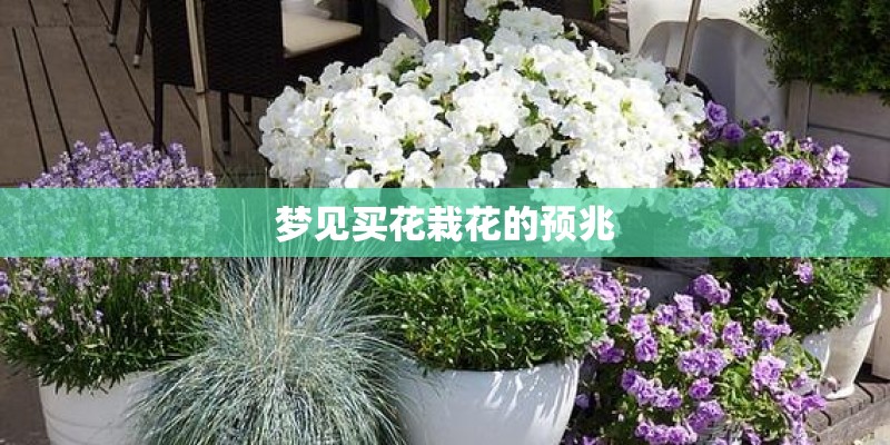 梦见买花栽花的预兆 梦见买花栽花的预兆