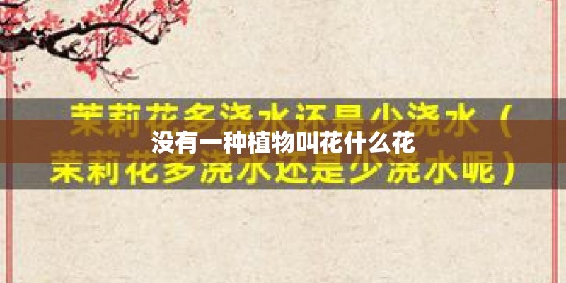 没有一种植物叫花什么花