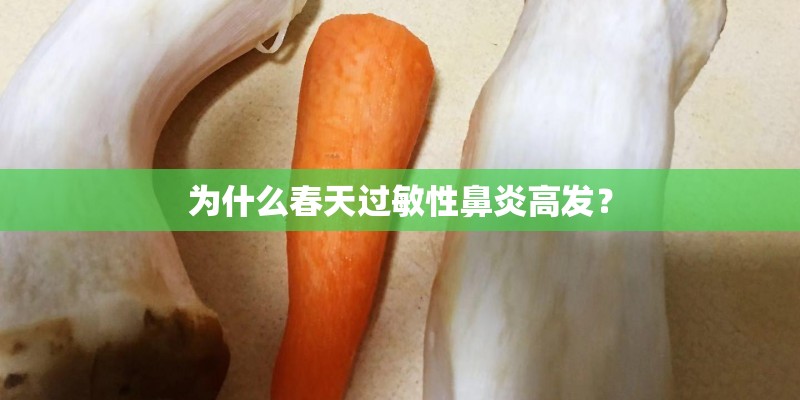 为什么春天过敏性鼻炎高发？
