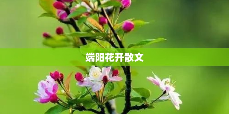 端阳花开散文