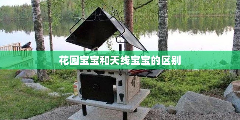 花园宝宝和天线宝宝的区别