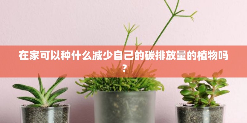在家可以种什么减少自己的碳排放量的植物吗? 在家可以种什么减少自己的碳排放量的植物吗?