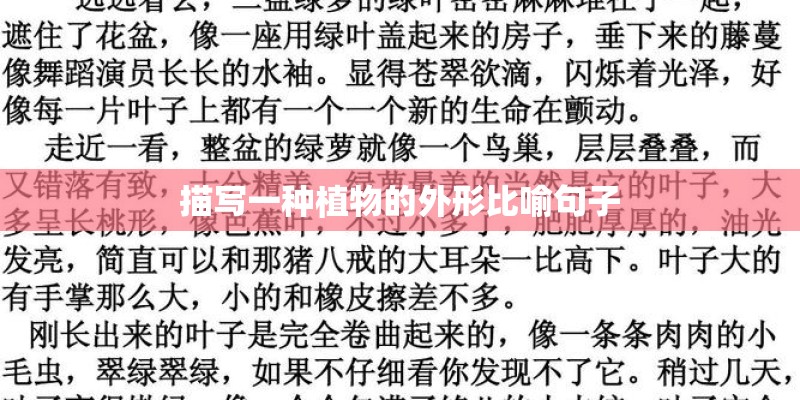 描写一种植物的外形比喻句子 描写一种植物的外形比喻句子