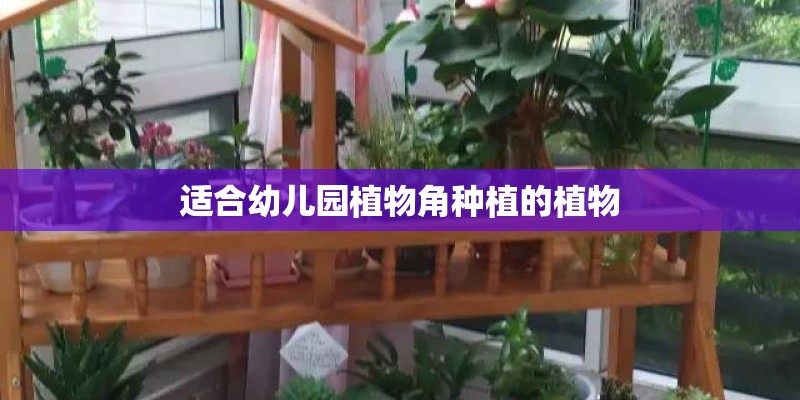 适合幼儿园植物角种植的植物 适合幼儿园植物角种植的植物
