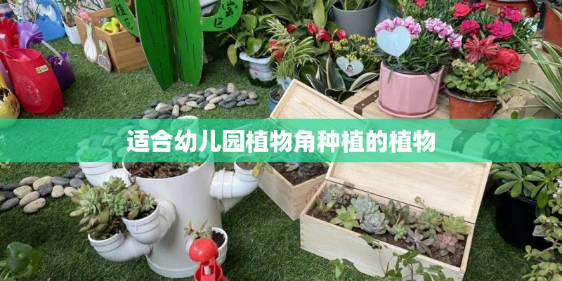 用容器进行花卉育苗应注意哪些？