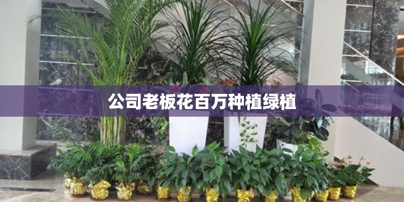 公司老板花百万种植绿植