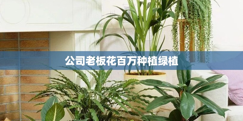 公司老板花百万种植绿植