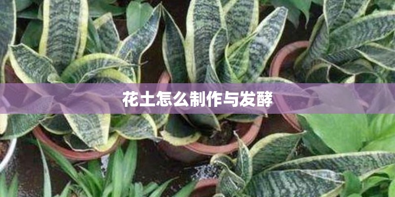 花土怎么制作与发酵 花土怎么制作与发酵