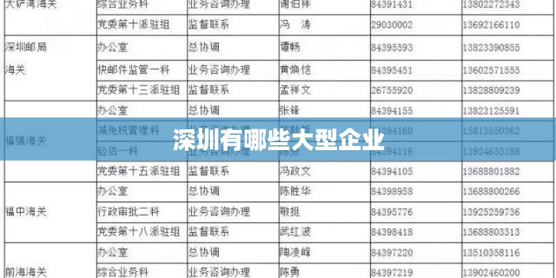 深圳有哪些大型企业