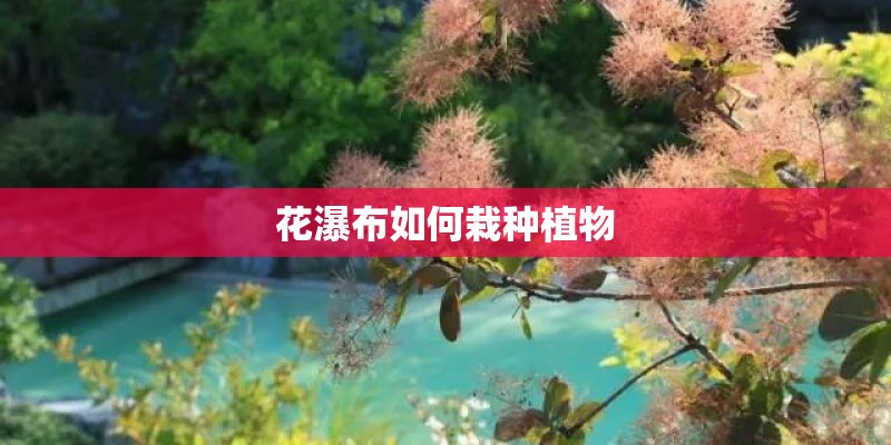 花瀑布如何栽种植物