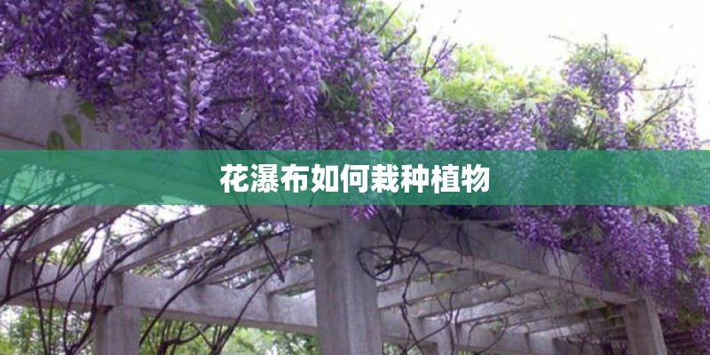 花瀑布如何栽种植物 花瀑布如何栽种植物