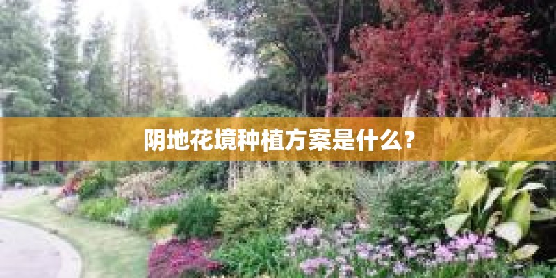 阴地花境种植方案是什么？
