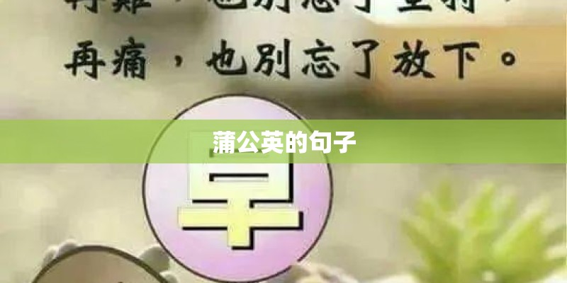 蒲公英的句子