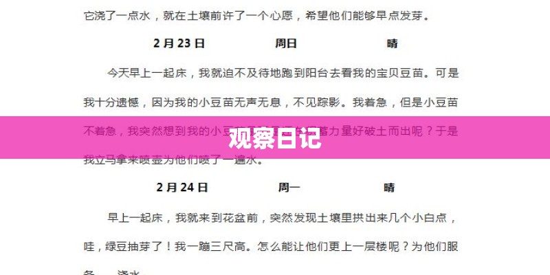 观察日记