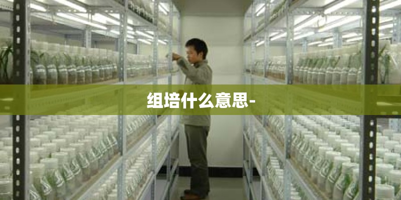 组培什么意思- 组培什么意思-