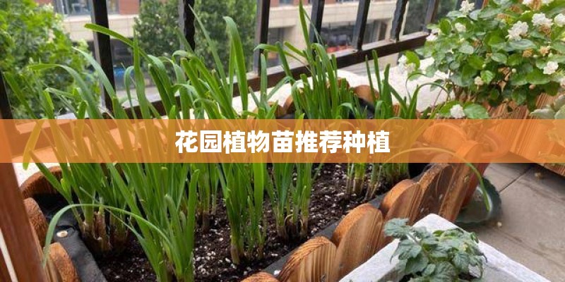 花园植物苗推荐种植 花园植物苗推荐种植
