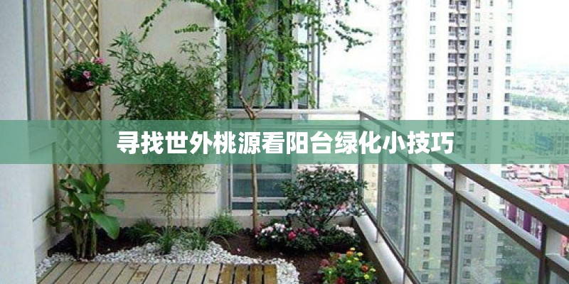 寻找世外桃源看阳台绿化小技巧 寻找世外桃源看阳台绿化小技巧
