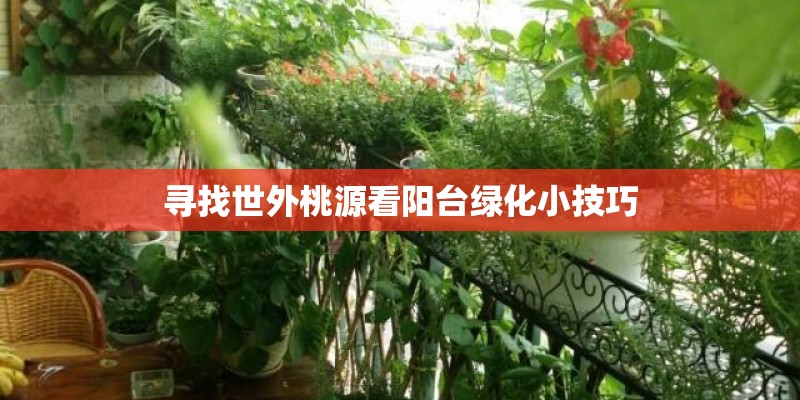 寻找世外桃源看阳台绿化小技巧 寻找世外桃源看阳台绿化小技巧