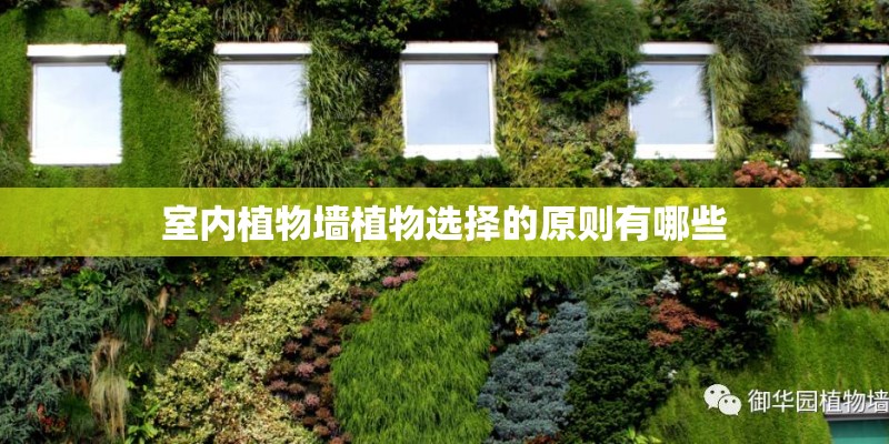 室内植物墙植物选择的原则有哪些 室内植物墙植物选择的原则有哪些