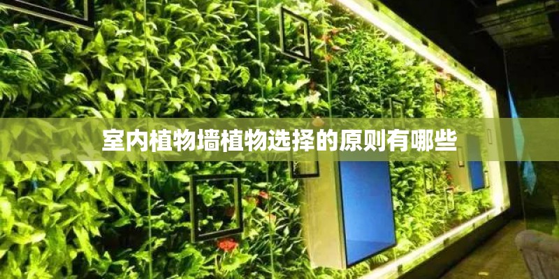 室内植物墙植物选择的原则有哪些 室内植物墙植物选择的原则有哪些