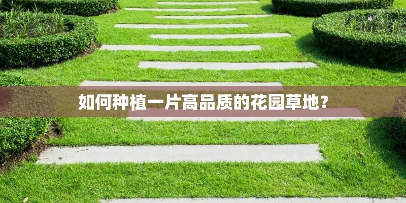 如何种植一片高品质的花园草地？