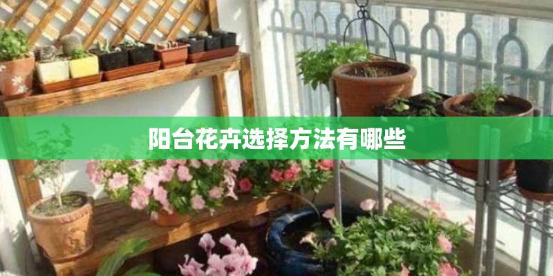 阳台花卉选择方法有哪些 阳台花卉选择方法有哪些
