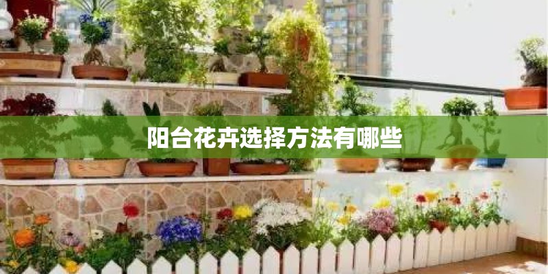 阳台花卉选择方法有哪些 阳台花卉选择方法有哪些