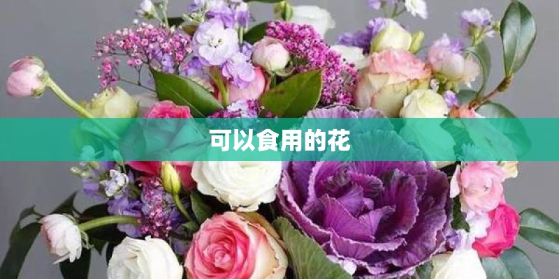 可以食用的花 可以食用的花