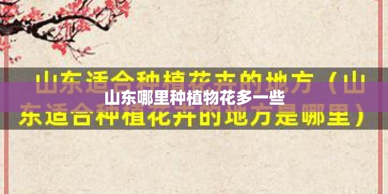 山东哪里种植物花多一些 山东哪里种植物花多一些