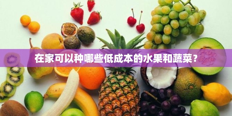 在家可以种哪些低成本的水果和蔬菜？