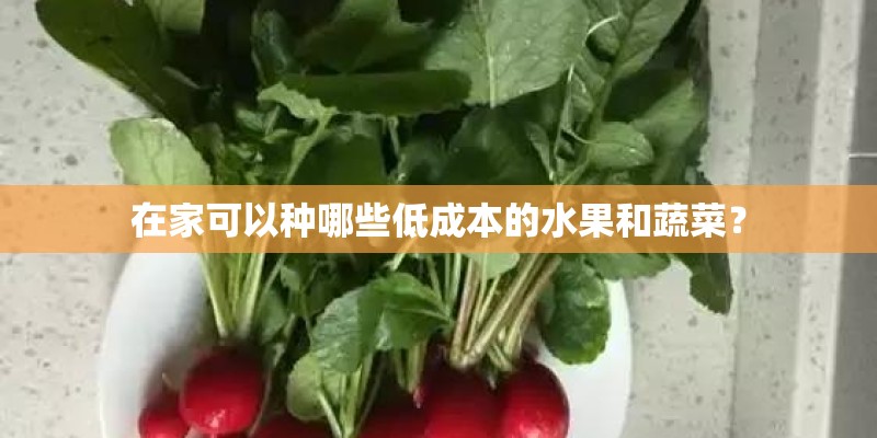在家可以种哪些低成本的水果和蔬菜? 在家可以种哪些低成本的水果和蔬菜?