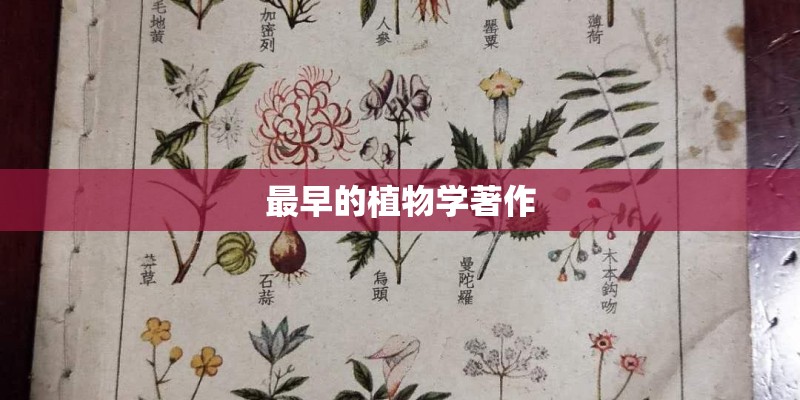 最早的植物学著作 最早的植物学著作