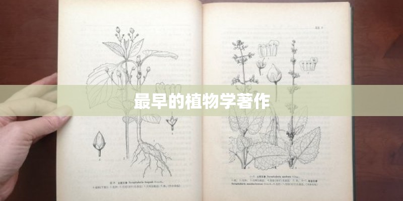 最早的植物学著作 最早的植物学著作