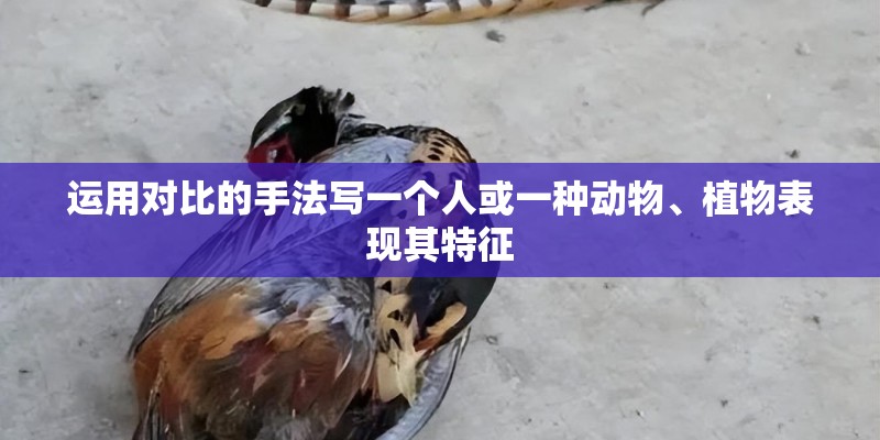 运用对比的手法写一个人或一种动物、植物表现其特征 运用对比的手法写一个人或一种动物、植物表现其特征