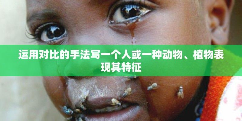 运用对比的手法写一个人或一种动物、植物表现其特征 运用对比的手法写一个人或一种动物、植物表现其特征