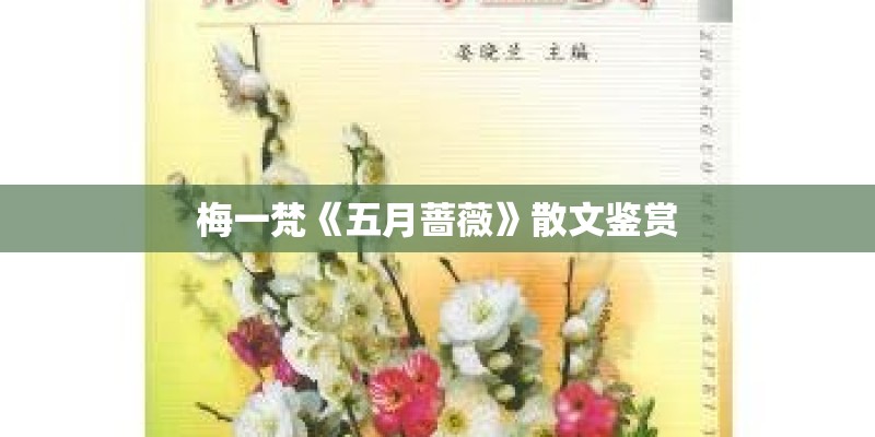 梅一梵《五月蔷薇》散文鉴赏
