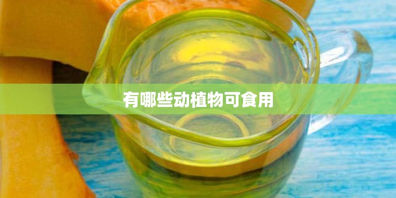 有哪些动植物可食用