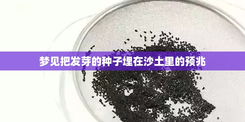 梦见把发芽的种子埋在沙土里的预兆 梦见把发芽的种子埋在沙土里的预兆