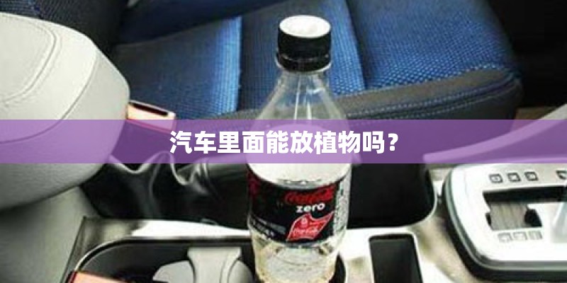 汽车里面能放植物吗？