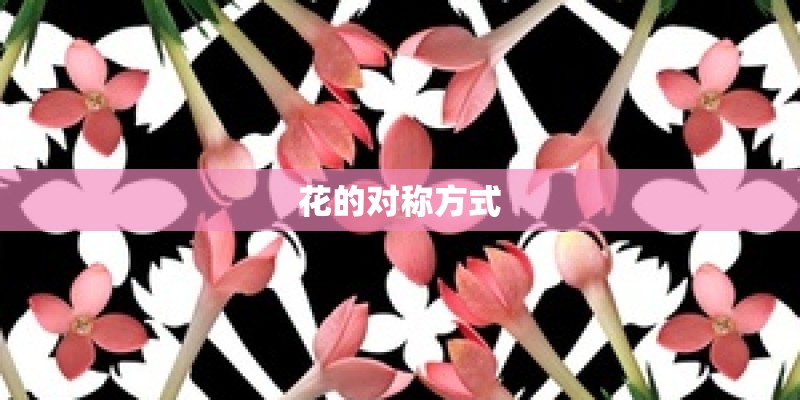 花的对称方式