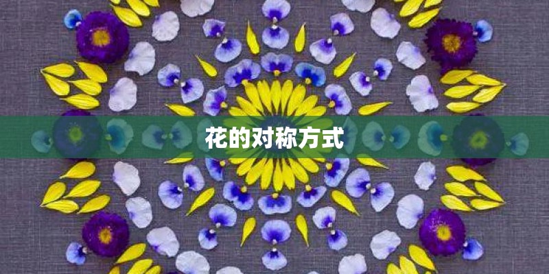花的对称方式