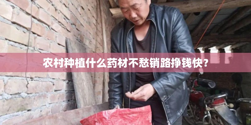 农村种植什么药材不愁销路挣钱快？