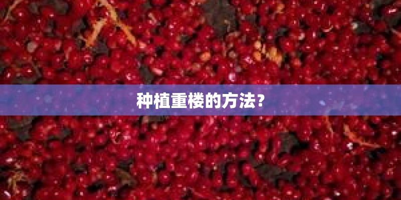 种植重楼的方法? 种植重楼的方法?